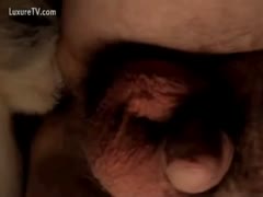 After being drilled by a dog, a contented construction worker finds a dark hole filled with beast peckers.